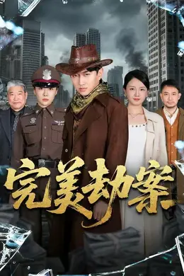 完美劫案海报图片