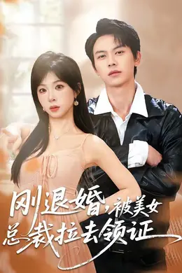 刚退婚，被美女总裁拉去领证海报图片