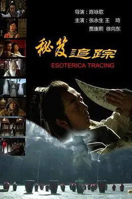 秘笈追踪封面图