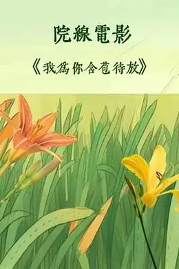 我为你含苞待放封面图