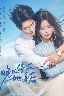 晚风停在她身后海报图片
