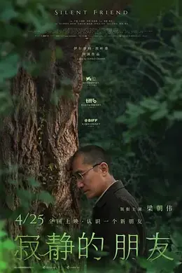 寂静的朋友封面图