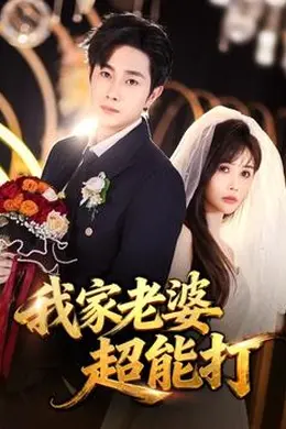 我家老婆超能打海报图片