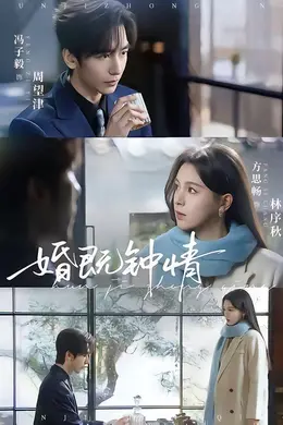 婚既钟情海报图片