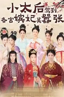 小太后驾到，各宫嫔妃莫嚣张封面图