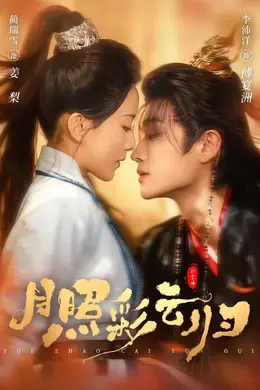 月照彩云归封面图