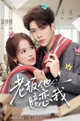 老板他暗恋我海报图片