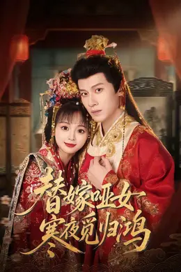 替嫁哑女寒夜觅归鸿海报图片