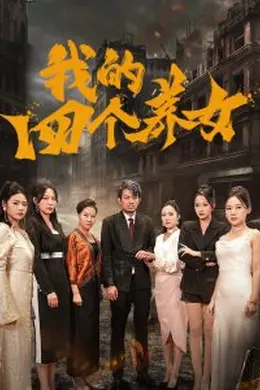 我的四个养女海报图片