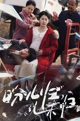 盼儿归儿未归海报图片