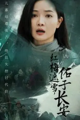 红梅遮雪佑子长安海报图片