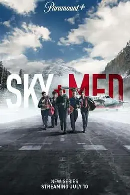 空中医疗队封面图