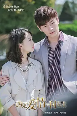 遇见爱情的利先生封面图