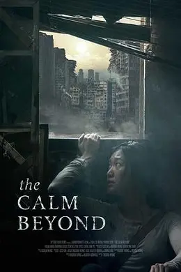 平静之外封面图