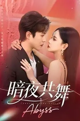 暗夜共舞封面图