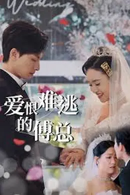 爱恨难逃的傅总海报图片