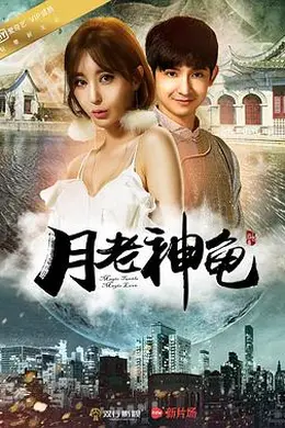 月老神龟封面图