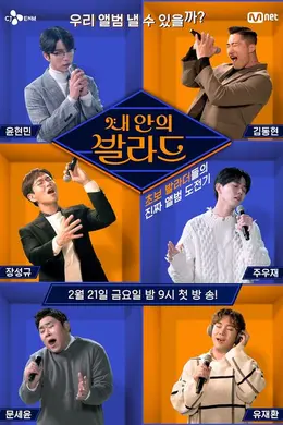 我心中的抒情曲封面图