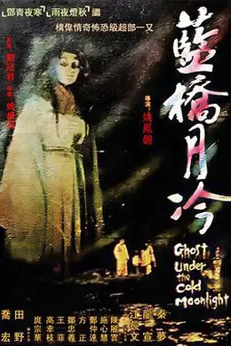 蓝桥月冷封面图