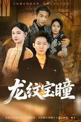 龙纹宝瞳封面图