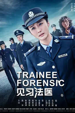 见习法医封面图