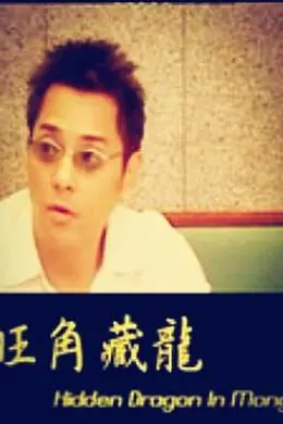 旺角藏龙封面图