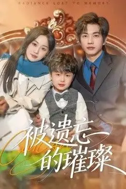 被遗忘的璀璨封面图