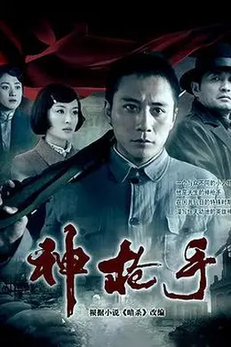 神枪手2009封面图