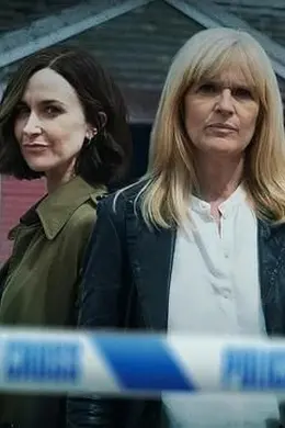 保护之间海报图片