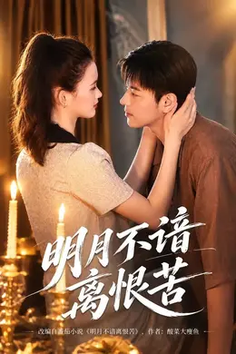 明月不谙离恨苦封面图