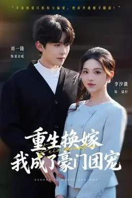 重生换嫁，我成了豪门团宠海报图片