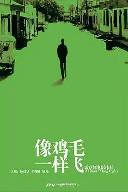 像鸡毛一样飞封面图