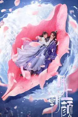 月上朝颜封面图
