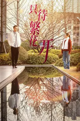 只待繁花开海报图片