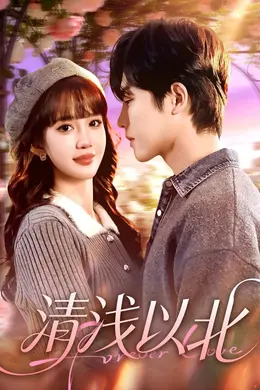 清浅以北封面图