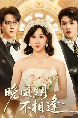 晚风与月不相逢海报图片